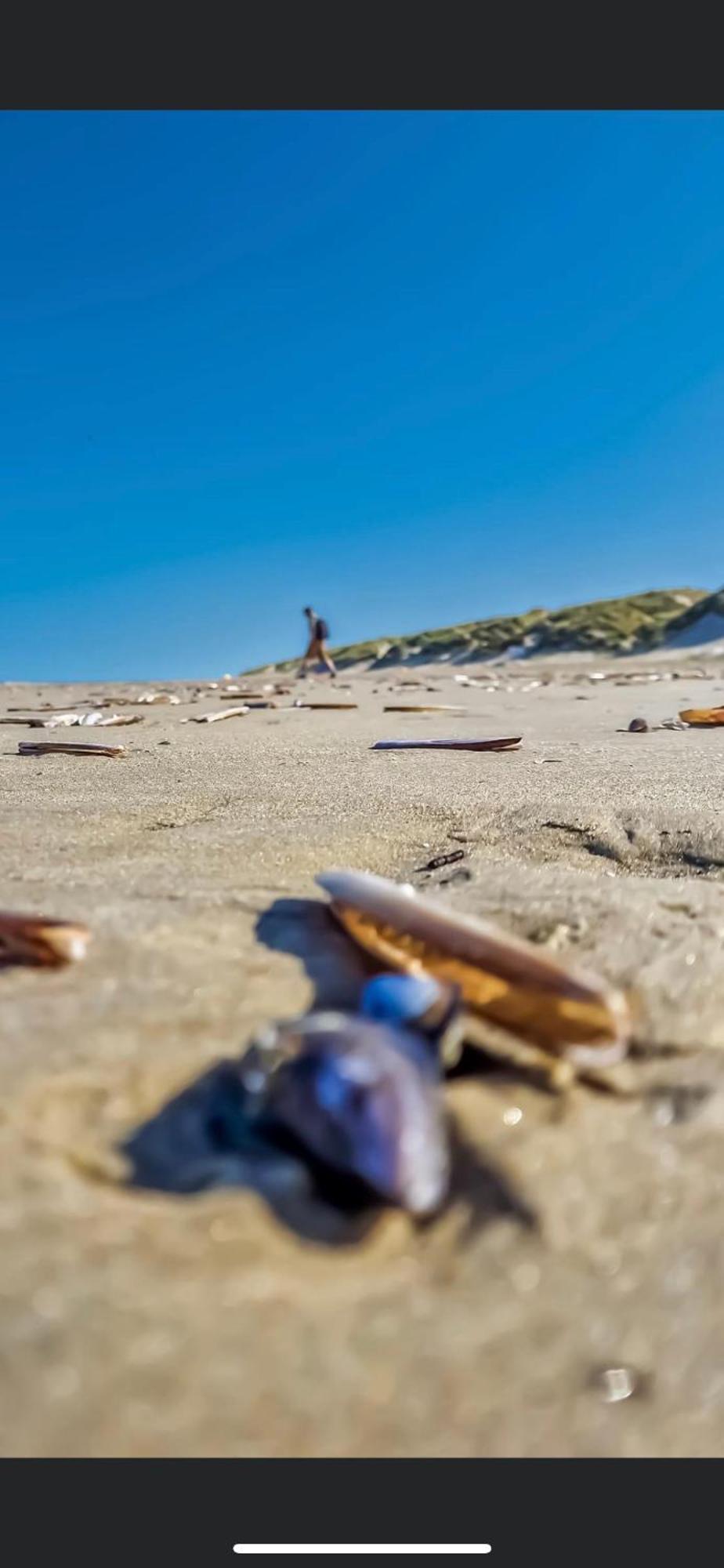 La Margaret Face Mer Équihen-Plage Dış mekan fotoğraf